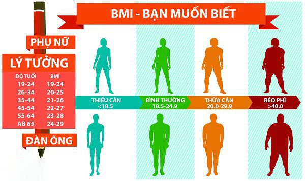 Công Cụ Tính BMI Online: 3 Bước Kiểm Tra Cân Nặng
